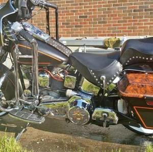 Meet your Posher, Carol